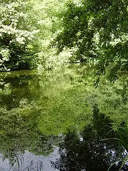 Credit: O1iveBrockhill Country Park is dominated by a large grassy valley, bisected by the Brockhill Stream as it makes its way to the Royal Military Canal at Hythe.

More about Brockhill Country Park...
