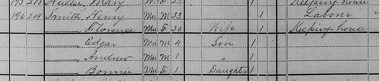 U.S. federal census of Greeneville, Tennessee, enumerated, June 10, 1880