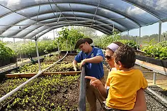 José at the USFWS Greenhouse in Boquerón