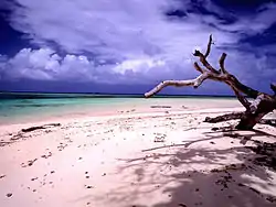 Image 44Beach scenery at Laura, Majuro, Marshall Islands (from Micronesia)