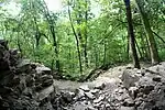 Looking out into the Ozark forest from the Bluff Shelter at the Ozark Natural Science Center