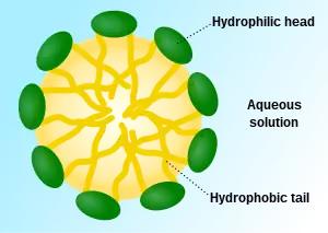 A micelle&nbsp;– the lipophilic ends of the surfactant molecules dissolve in the oil, while the hydrophilic charged ends remain outside in the water phase, shielding the rest of the hydrophobic micelle.  In this way, the small oil droplet becomes water-soluble.