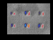 Shearography output image of CFRP/honeycomb part with artificial defects