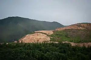 Destruction of the old-growth forest at Teghut in summer 2012