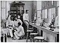 The parasitology laboratory of Dr. Léon Audain, c. 1904, Haiti