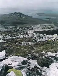 Massive stone runs in the foothills of Circum Peak; southeast view from Mount Weddell
