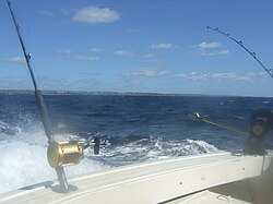 A calm March day off Grantley Adams Airport for charter boat rod fishing.