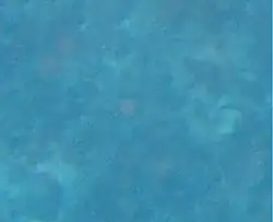 Assessing depth through a mask at the surface. About 25&nbsp;m , ideal to start a dive on the top of the Edge.