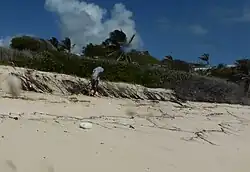 Part of Crane Boom chain goes Walkabout on Crane Beach North