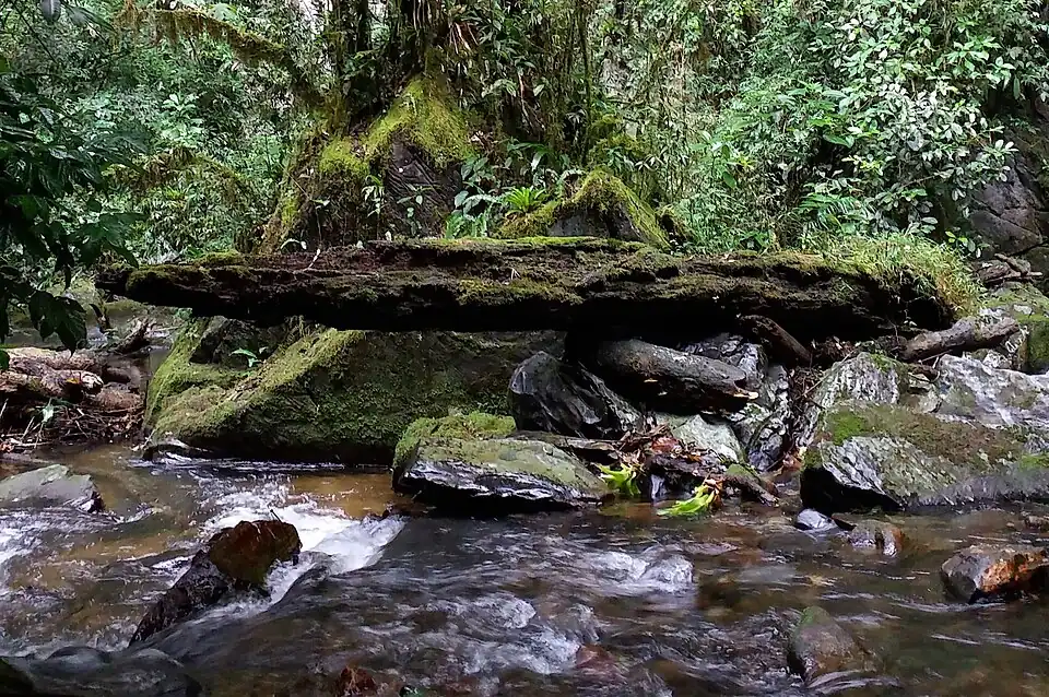 Casa de Pedra ("House of Stone")